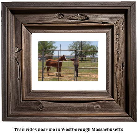 trail rides near me in Westborough, Massachusetts